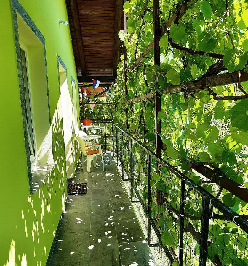 Hisa Planica Apartamento Kobarid Exterior foto